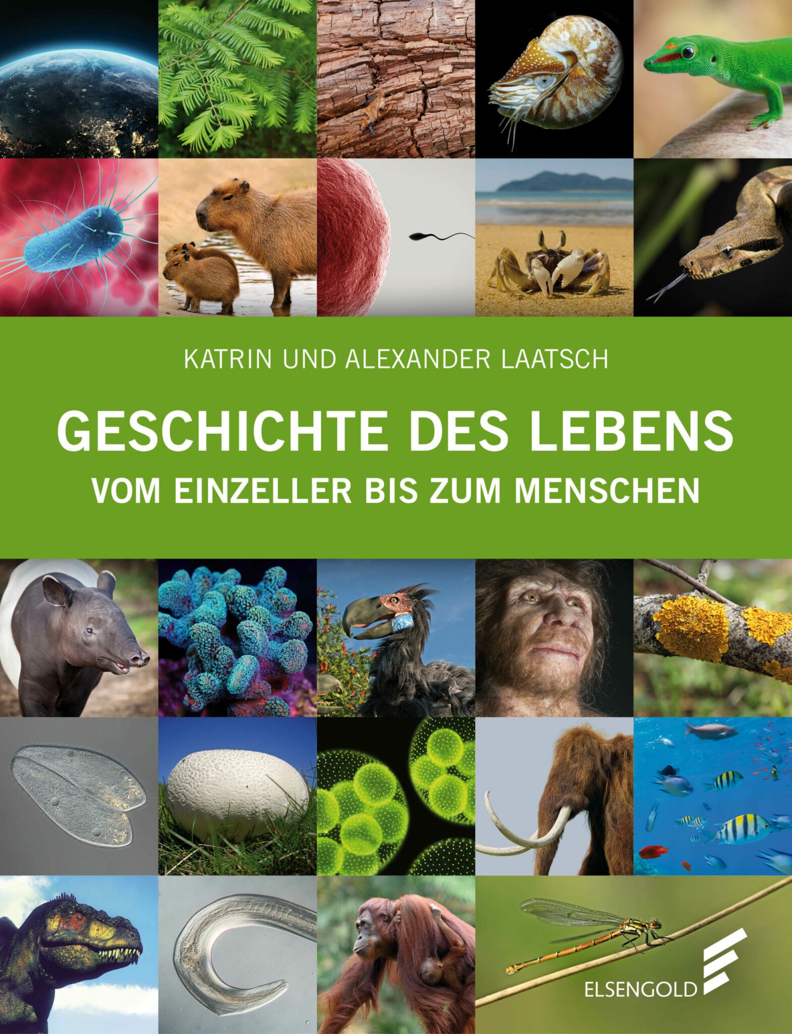 Geschichte des Lebens Elsengold Verlag