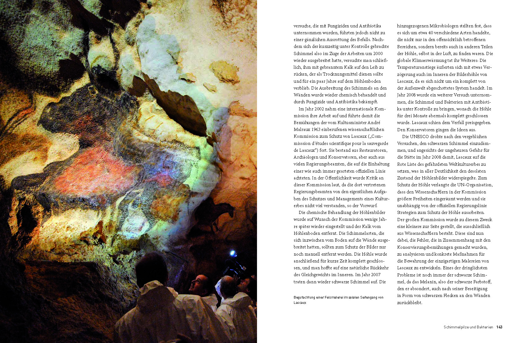 Höhlen von Lascaux Buch